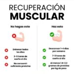 recuperacion muscular