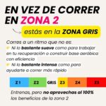 zona 2